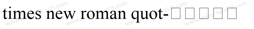 times new roman quot字体转换